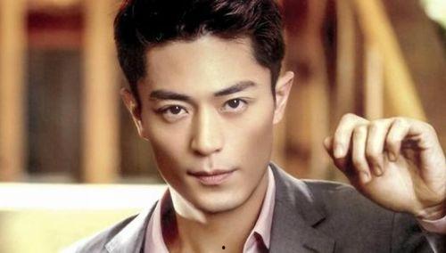 长得帅出名的明星,帅气明星的星光之路